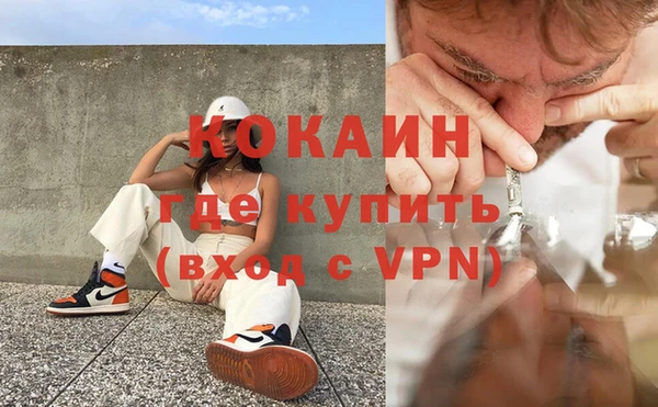 гидра Гусиноозёрск